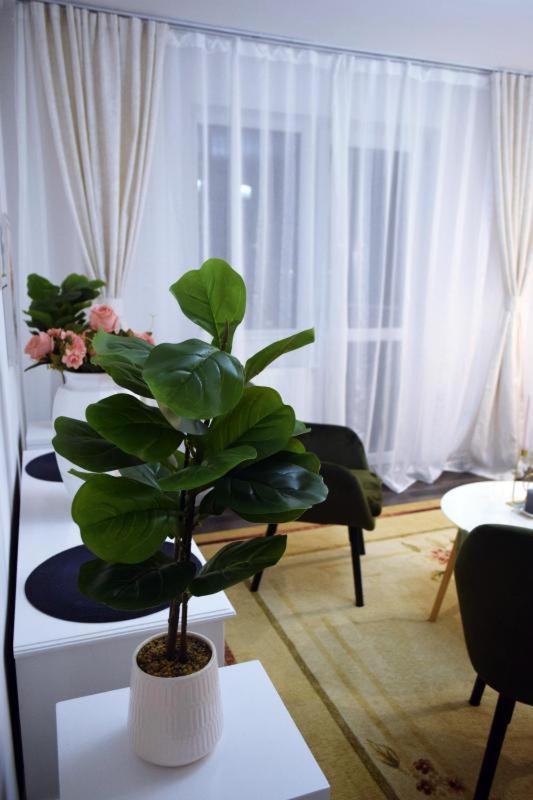 Апартаменты Apartament Thea Фэгэраш Экстерьер фото